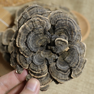 Натуральный органический экстракт хвоста индейки - Product Image 2