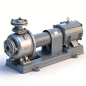 Kawamoto Kr-M Stainless Steel Centrifugal <b>Pump</b> 304 <b>Electric</b> Three-Phase Motor 1/2 In Discharge <b>Water</b> Use - Product Image 1