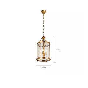 Design unico in metallo lampada pendente in ferro Vintage ferro materiale uccello gabbia in ottone vetro industriale ciondolo luce - Product Image 3