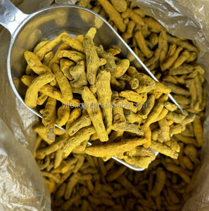 Pasokan grosir potongan baru jari organik kunyit kering rempah-rempah tunggal dan Rempah - Product Image 2