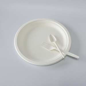 Meilleur Prix Assiettes jetables en bagasse de canne à sucre biodégradable de 10 pouces pour plats à emporter - Product Image 6