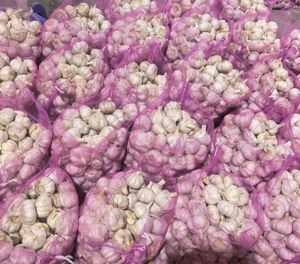 Ajo Blanco Fresco de China, de Dientes Pequeños, Precio al por Mayor, Venta Directa de Fábrica de Shandong, Calidad Superior, Cosecha Reciente, Alho Ajo - Product Image 4