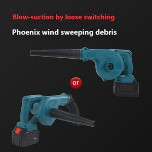 <span class=keywords><strong>Souffleur</strong></span> de <span class=keywords><strong>feuilles</strong></span> haute puissance à double usage Rechargeable DIY Batterie industrielle au lithium Sèche-cheveux Souffleurs - Product Image 3