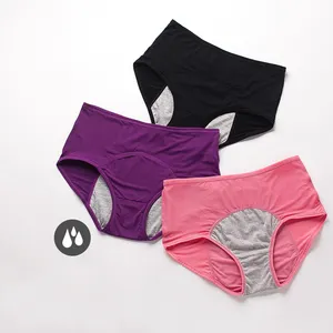 Culotte menstruelle pour femmes, pantalon Sexy anti-Incontinence, sous-vêtements anti-période, slip taille haute chaud pour femmes adultes