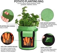 Sacs de culture transparents à trou d'entrée pour pommes de terre, en tissu non tissé épaissi, pour jardinage domestique, fleurs, légumes et semis