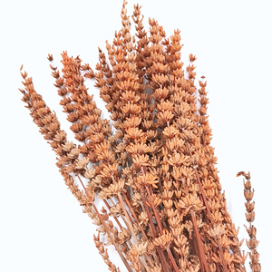 <span class=keywords><strong>Fleurs</strong></span> fraîches naturelles <span class=keywords><strong>immortelles</strong></span> conservées, bouquets de lavande sèche, fleur de lavande séchée pour bouquet de <span class=keywords><strong>fleurs</strong></span> diy, décoration d'événements pour la maison - Product Image 5