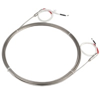 Sensor RTD de 6 Hilos con Cubierta de Cerámica, Doble PT100 PT1000, Resistencia de Temperatura para Medición Industrial