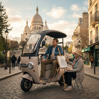 Vélo électrique à trois roues Holladay à batterie longue durée, carrosserie ouverte, tricycle électrique OEM pour le transport et les passagers
