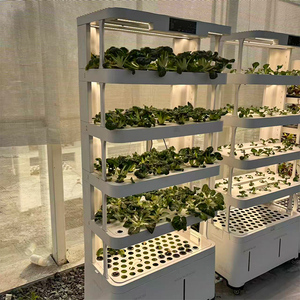 Mini torre de cultivo de interior hidropónico aeropónico con luz LED inteligente para el hogar, sistema vertical automático con componente de núcleo de bomba - Product Image 3