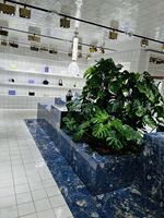 Lujo Natural Bolivia azul sodalita cuarcita diseño moderno calcita piedra cuarcita losa para mesa de Hotel encimeras escaleras