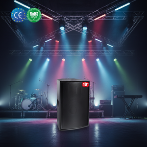 רמקולים גדולים 10 אינץ' למכירה, מערכת שמע ביתית למסיבות, רמקול ניאודימיום מקצועי, טווח צלילים מלא - Product Image 3