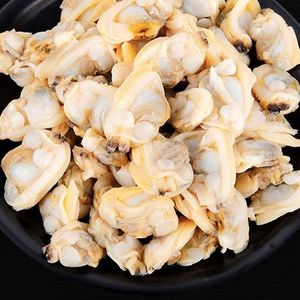 Almejas Bebé Cocidas Congeladas de Cuello Corto IQF para Pasta y Paella, Venta al por Mayor a Granel 10kg - Product Image 5