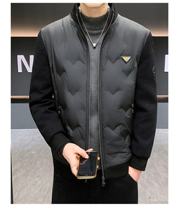 Giacca Puffer Impermeabile da <span class=keywords><strong>Uomo</strong></span> di Alta Qualità con Colletto, Abbigliamento Invernale da Esterno in Offerta - Product Image 2