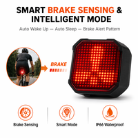Luz Trasera Inteligente para Bicicleta, 244 Píxeles, Patrón Personalizado por Aplicación, SageLink OTA, Sincronización de Grupo, Sensor de Frenado, Control Remoto de 50 Metros
