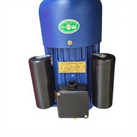 Moteur monophasé série YL-100-3.0KW-2 Moteur asynchrone monophasé