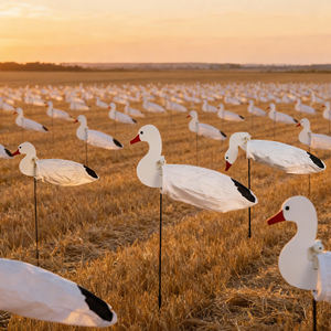 Décoys <span class=keywords><strong>de</strong></span> <span class=keywords><strong>chasse</strong></span> réalistes en forme <span class=keywords><strong>de</strong></span> chaussettes d'oie avec piquets <span class=keywords><strong>de</strong></span> sol stables, corps mats anti-reflets et 12 pièces en stock - Product Image 4