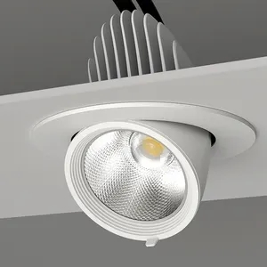 Lumière LED à angle de faisceau réglable intelligent, 12 W, 20 W, 30 W,  magnétique Projecteur de suivi pour éclairage intérieur - Chine Spot LED,  feu de piste