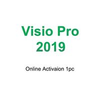 Clave de Activación de por Vida para Visi 2019 Pro, 1 Pieza, Visio Professional 2019