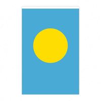 Vente en gros de guirlandes de drapeaux de Palau avec taille et motif personnalisés pour la décoration