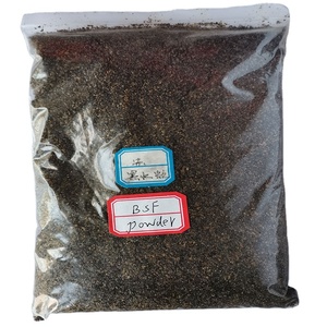 <span class=keywords><strong>Larvas</strong></span> <span class=keywords><strong>de</strong></span> Mosca Soldado Negra Secas, Insectos Secos en Venta - Product Image 6