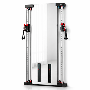 Appareil <span class=keywords><strong>de</strong></span> musculation mural multifonctionnel QS-H2 à double poulie avec miroir et machine à câbles pour la maison, doté d'un pile <span class=keywords><strong>de</strong></span> poids <span class=keywords><strong>de</strong></span> 35 kg x 2 - Product Image 1