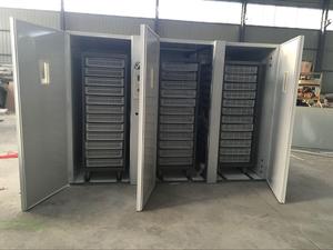 Trung Quốc Công Nghiệp Nở 15000 Trứng Vườn Ươm Hatcher Giá Máy Gia Cầm Ấp Trứng Tự Động HS-16896 Trứng Gà Lồng Ấp - Product Image 6
