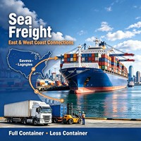 Pour les vendeurs Amazon FBA, service de livraison DDP porte-à-porte par fret maritime, transitaire de la Chine vers les entrepôts américains