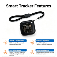 Traceur intelligent mondial pour animaux de compagnie, avec cordon carré noir en matériau durable, gestion par lots, historique de trajectoire sur 7 jours, application et site web gratuits