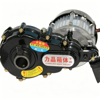 Kit moteur différentiel BLDC 48V 500W pour véhicules électriques de transport lourd à usage intensif, avec fil de cuivre pur et contrôle précis pour les montées