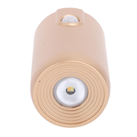 Lampu Dinding LED Pintu Masuk dengan Sensor Gerak, Peredupan Berkelanjutan, Pemasangan Magnetik untuk Kamar Tidur, Lemari, Kabinet, Tangga