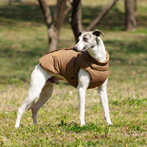 Abrigo de Invierno para Perro VPETBR de Lujo con Logotipo Personalizado, Resistente al Agua y al Viento, Ropa de Poliéster para Dachshund y <span class=keywords><strong>Galgo</strong></span> para Uso en Exteriores - Product Image 4