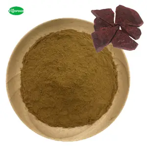 ISO manufacturer pure natural 10:1 resina draconis dragon's blood extract