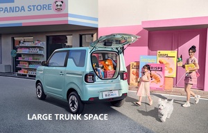 Самый популярный китайский мини-электромобиль Geely Panda Geome: новый энергетический автомобиль, лучшая цена, экономичный, недорогой, простой в управлении, для городских поездок - Product Image 5