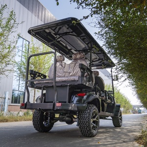 Venta 2026 Nuevo Carro de Golf Avak de 6 Plazas, Buggy de 2 Tiempos, 60V, 70-90km, 70km/h, Metal Dot - Product Image 5