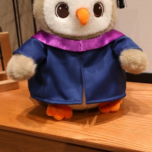 Peluche Gufo Dottore Personalizzato OEM da 9,5 Pollici, Mascotte Gufo Professor Personalizzata per Regalo Promozionale - Product Image 3