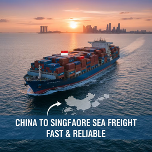 Layanan DDP Door-To-Door Pengambilan Barang dari Pemasok/Produsen Domestik Pengiriman LCL+Ekspres Barang Umum Singapura Melalui Guangzhou - Product Image 4