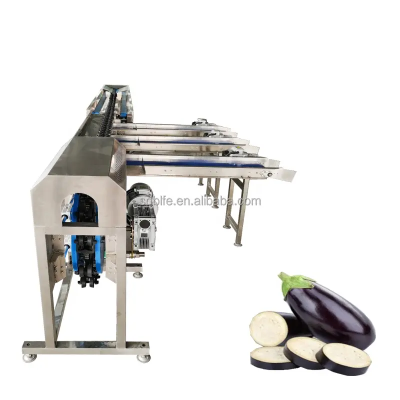 Машина для сортировки веса для обработки фруктов киви
