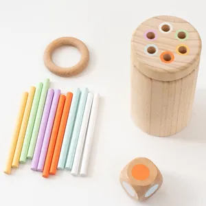 Montessori Materials Occupational Therapy Toys wooden pastel sorting color sticks Posting Pegs Activity for Toddlers