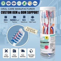 Cepillos de Dientes de Cerdas Suaves Personalizados al por Mayor, Marca Privada, Cepillo Limpiador Dental para Adultos, Fabricante Mayorista
