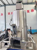 Complete Maker Plant voor het maken van verse aardappelchips, productielijn voor aardappelchips