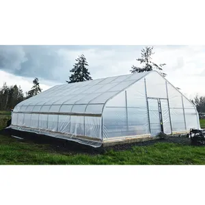Crescer tenda kit completo túnel comercial aro tomate estufa aro filme plástico Single-span Pe estufas agrícolas