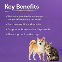 Complément alimentaire pour animaux de compagnie Multi Benefit Care Collagen, comprimés à mâcher souples, peptides, huile de foie de morue, cartilage, supplément pour les hanches et les articulations pour chiens