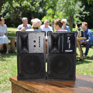 Fournir toutes sortes de haut-parleurs en plastique actifs amplifiés professionnels 8 avec haut-parleur intégré de communication auxiliaire d'éclairage LED RVB - Product Image 1