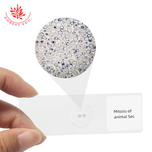 준비된 슬라이드 ascari와 양파 Mitosis 현미경 슬라이드 세트 의료 과학 - Product Image 5