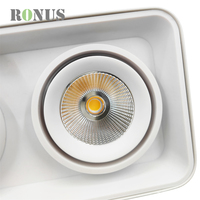 Spot LED rectangulaire à double tête rotative 12W*2, montage en surface, COB