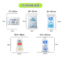 Sac de rangement pour glaçons en LDPE recyclé, imprimé sur mesure, qualité alimentaire, robuste, anti-fuite, pour usine de glace, supermarché, bar