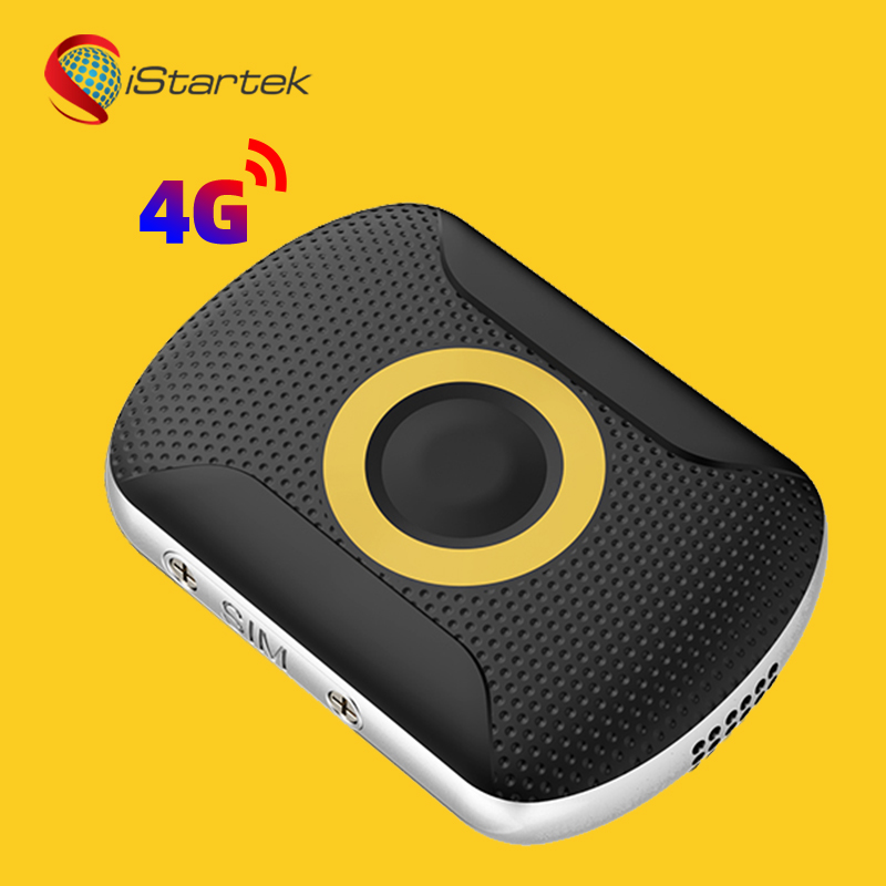 dog tracker implant