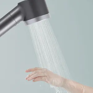 Dusch filter zur Entfernung von Chlor im Wasser aus Vietnam 2022
