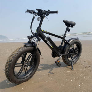 fat bike rims 20 inch 21 Speed with derailleur 20 inch fat bike double fork 3W LED 750w fat tire electric bike