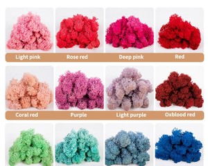 <span class=keywords><strong>Fleurs</strong></span> séchées de qualité supérieure, 5 pièces, <span class=keywords><strong>mousse</strong></span> lim importée - Product Image 4